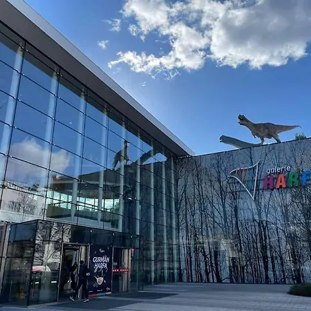 Honza O2 Arena *